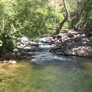 Meet your Posher, Jerome